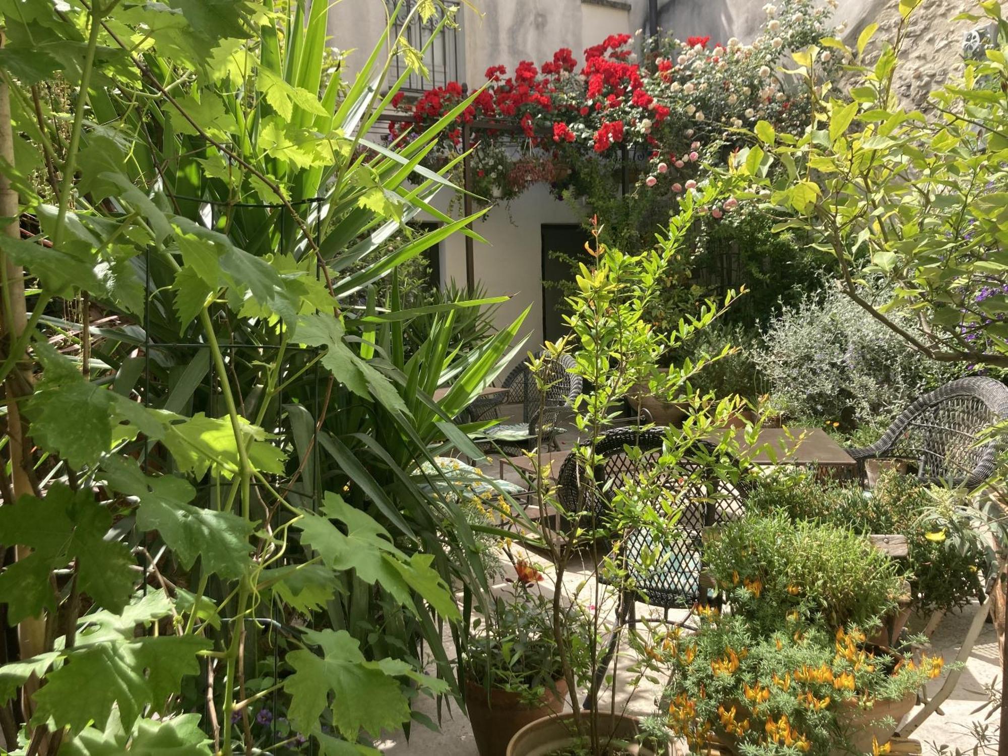 La Maison Des Augustins 4 Stars Spa Et Fitness อาวีญง ห้อง รูปภาพ